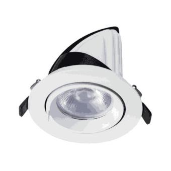 Kantelbare LED Downlight 24 Watt - COB - 165mm - 60°