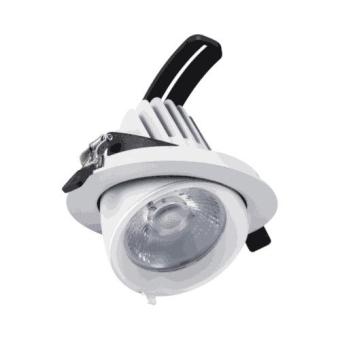 24 Watt Kantelbare Downlight