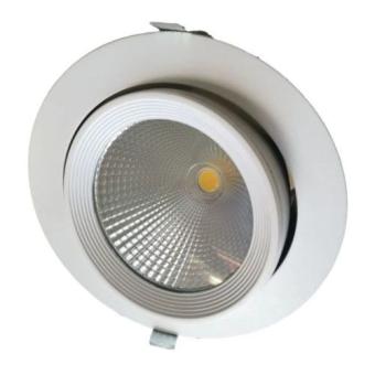 Kantelbare LED Downlight 30 Watt