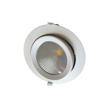 Kantelbare LED Downlight 10 Watt