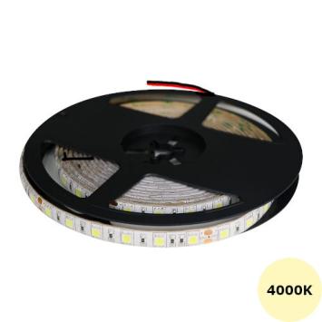 Ledstrip 24 Volt 4000K - Koel Wit - 5 meter - IP65 - 60xSMD5050/m