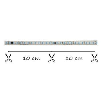 LED Strip 230 Volt -  Inkortbaar per 10 cm - Blauw - Dimbaar - IP65